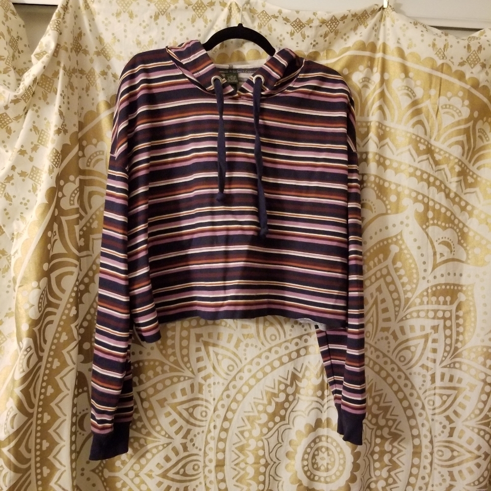 Wilder Fable Crop Hoodie